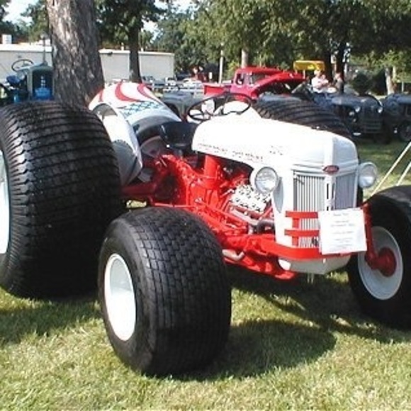 Meet your Posher, Bruno - Picture 1 of 1